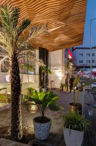 Bejárat, Ginger Surat, City Centre in Surat