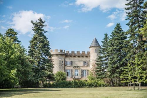 Château Emile Loubet - appartement Maréchal Lyautey - Location saisonnière - La Bégude-de-Mazenc