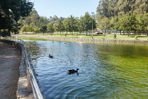  Gándara Chalet in Salvatierra de Miño