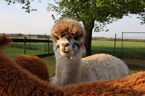 Nearby attraction, galerie 65 in Nettetal