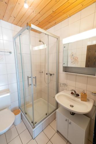 Panorama at Haus Waldheim! Nr 12, Grächen (Foto 7)