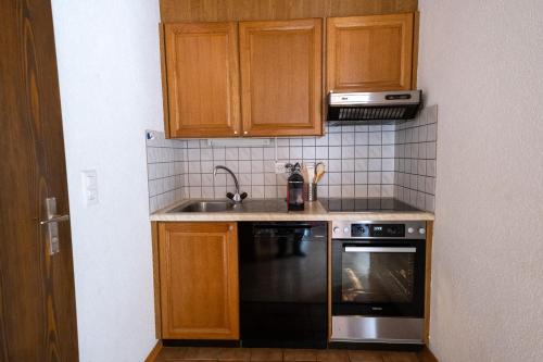 Panorama at Haus Waldheim! Nr 12, Grächen (Foto 6)