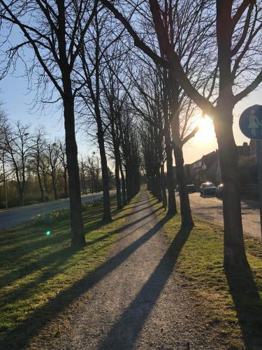 Surrounding environment, Ferienwohnung Kuckucksnest in Helmstedt