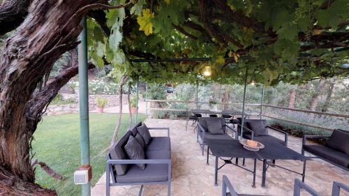 El Vergel de Chilla tiene 3 alojamientos Abejas 1 Abejas 2 y Libélula - image 12