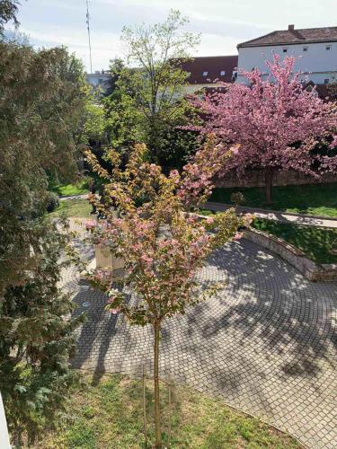 Vistas, Négy évszak Apartman- Tapolca (Negy evszak Apartman- Tapolca) in Tapolca