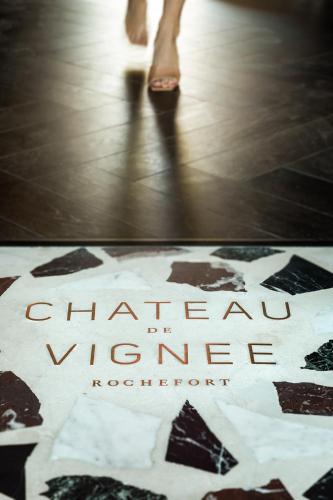 Chateau de Vignée - main image
