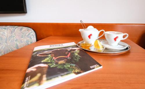 Hotel restavracija pizza Tripič, Bohinj, Slovenija