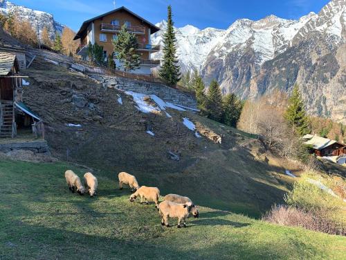 Panorama at Haus Waldheim! Nr 12 Grächen