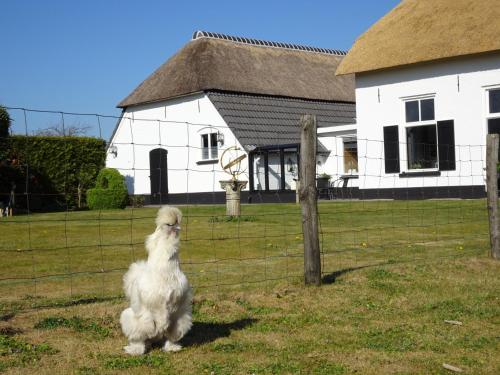 Vakantiehuis ''De Bolle''