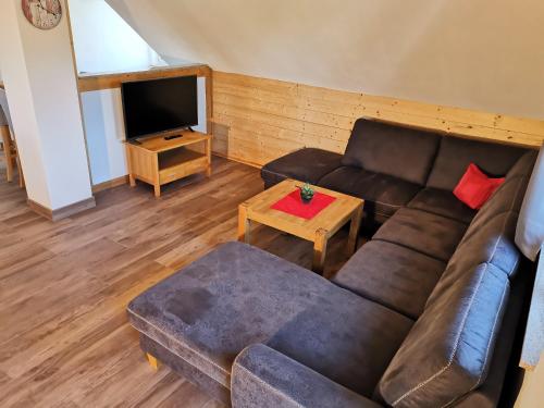 Apartment in Papstdorf Häntzschelstiege, Kurort Gohrisch (foto 7)