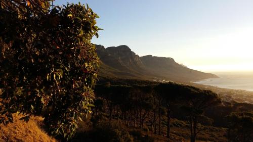 Luxury Modern House Western Cape Fish Hoek