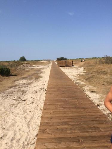 Strandkorb, Horumersiel (Foto 8)