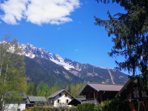 المنطقة المحيطة, Le Chamoniard Volant in لا فراسي