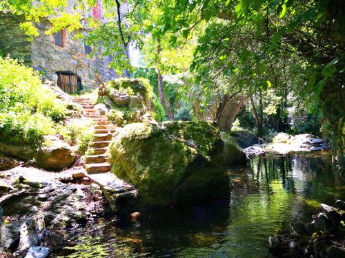 El moli del montseny - Accommodation - Fogars de Montclús