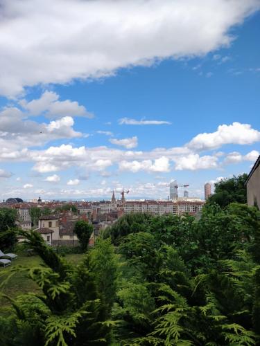 Le Jardin Suspendu Vieux-Lyon - Option Garage, Lyon (photo 3)
