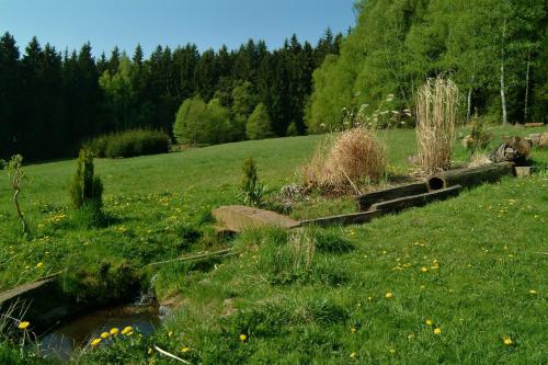 Rodinné ubytování Debrné - image 5