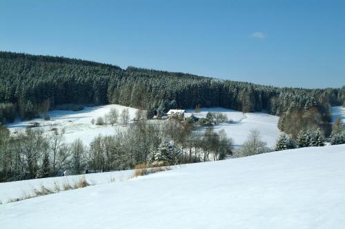 Rodinné ubytování Debrné - image 8