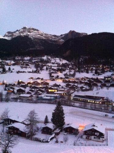 Alrededores, Chalet Wargistal in Grindelwald Suburbs
