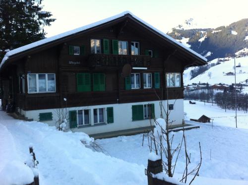 Vista exterior, Chalet Wargistal in Grindelwald Suburbs