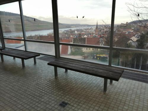 View, Schones Apartment mit Pool&Sauna in Bingen am Rhein