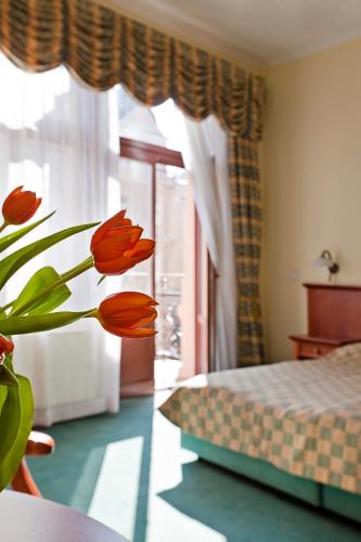 Spa hotel Čajkovskij - image 2