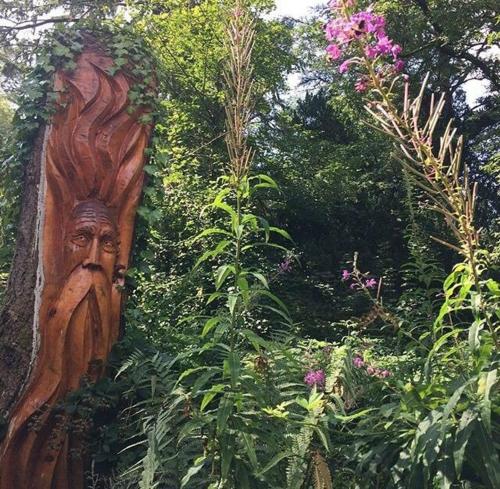 Self Catering - The Garden House in Ballyvolane