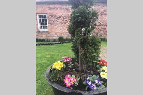 Self Catering - Gardeners Cottage, Wexford (foto 7)