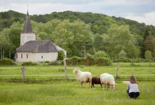 Gîtes L'Escargot Bleu