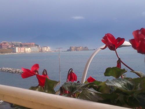 B&B Platamon - image 7