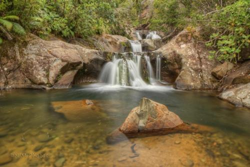 Swimming pool, Rapaura Water Gardens Boutique Accommodation in Thames