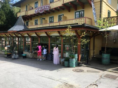 Vila Lužné - image 10
