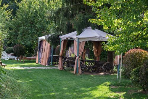 Hotel Resort&Spa Kamelot - image 2