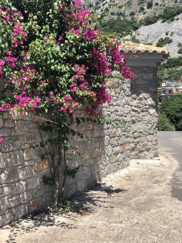 Gaia (Γαία) guest house, Kalamata (fotografie 6)