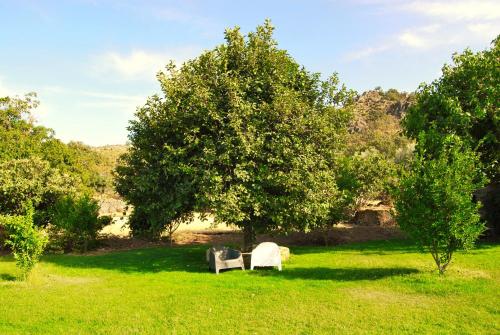Quinta d'Abegoa - image 4