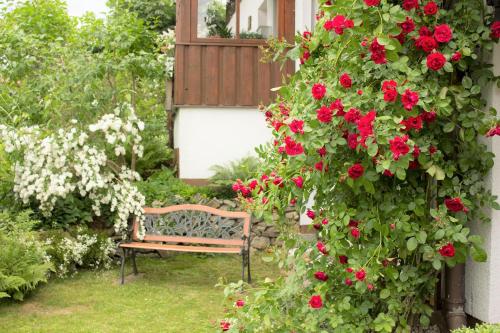 Garden, Ferienwohnungen Irene Konstandin in Bischofsmais