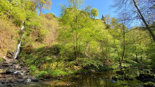 Ferienhaus Maison Idylle im Hohen Venn - Monschau