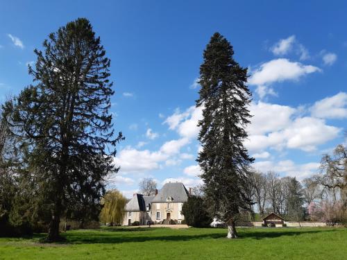 Château de Mongazon chambre d'hôte Lurcy-le-Bourg