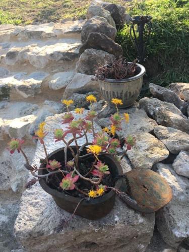 Le chai de Bouit chambre d'hôte Bordeaux