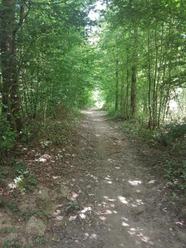 Apart - Country at Tingry - Tap to explore photos