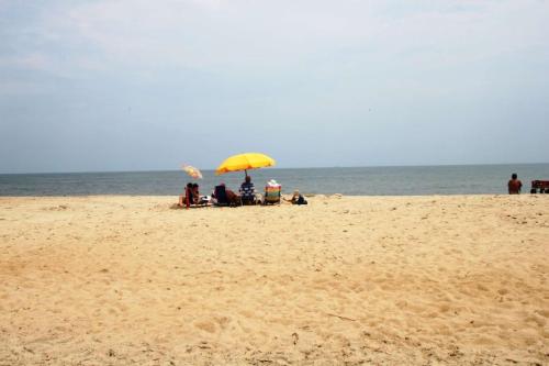53023 Lakeshore Drive - image 5