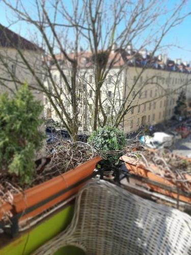 Apartament MTP kamienica Grottgera 85m2