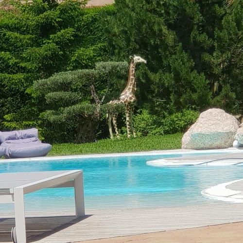 Exceptionnel écrin d'amoureux gîte à louer Marseille 11