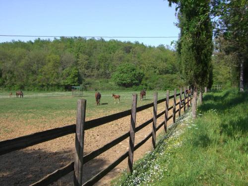 Agriturismo La Selva