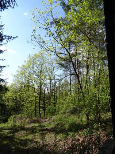 Waldhaus Agnes in Sulzfeld (Rhon-Grabfeld)