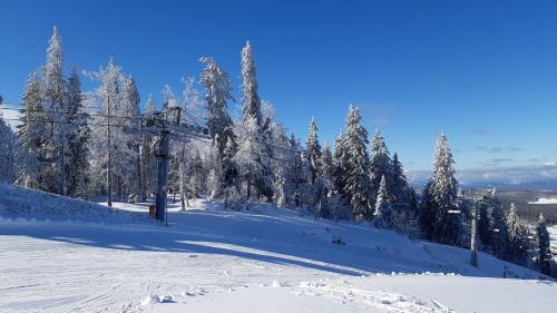 周邊環境, CHALET LES EPILOBES in 拉莫哈