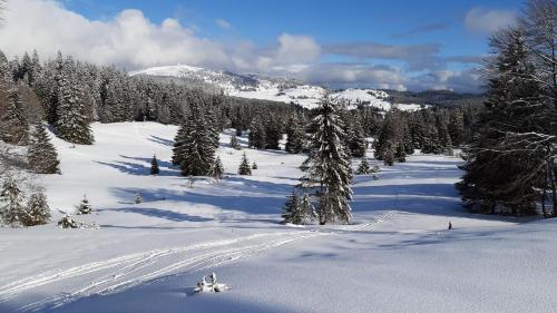 周邊環境, CHALET LES EPILOBES in 拉莫哈