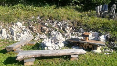 APARTMENT in CHALET BOHINJ - image 13