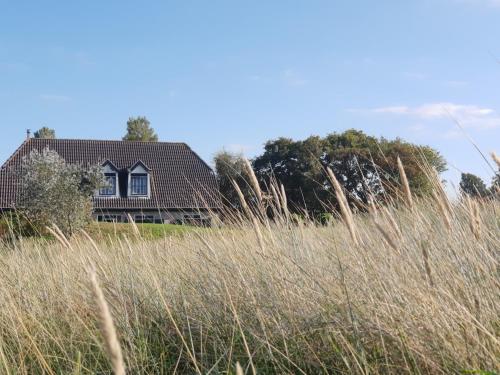 Pension Bakema Ameland - image 12