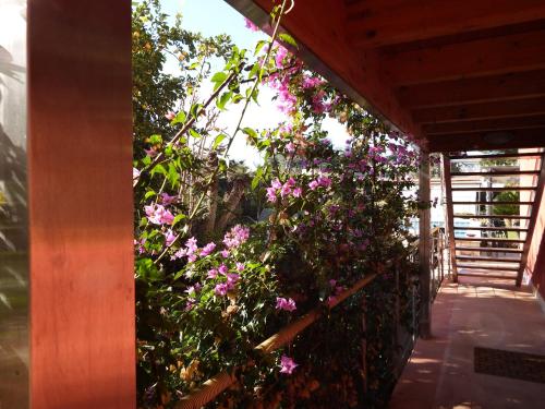 B&B Albaluna