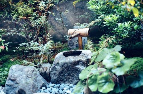 Tsurui Goshonishi